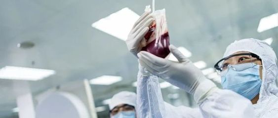 加快引育生物医药产业新动能 高新区领导会见中国医学科学院血液病医院和中源协和客人